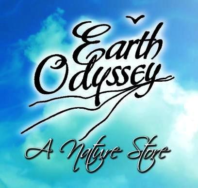 Earth Odyssey